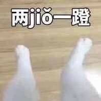 猫咪沙雕表情包