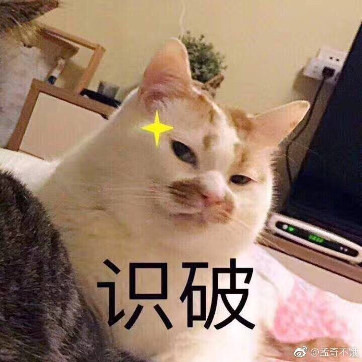 猫咪沙雕表情包