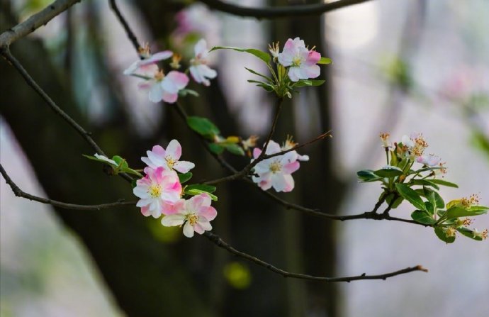 【原创】《念想》
你所未知的地方
我在想念彷徨
我常常翻看关乎于你的信件
小心翼翼 尚未多言
在梦里勾勒怀念
夹到记忆的瑕缝里​隐瞒
直到连我自己都看不见
谁也不懂对方的痴心妄想
给不了想要的儿女情长
郁郁寡欢 大梦一场
饮一杯到天亮
写一笔到天荒
翻看你的信件
眼里涌出一溪光​
作者/三火（@一诗一文 ）