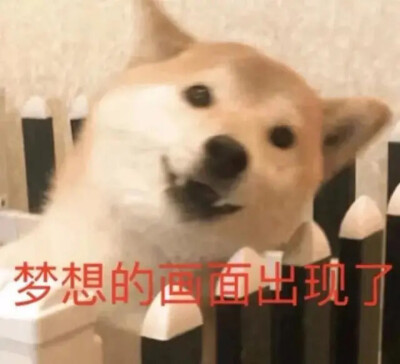 狗子