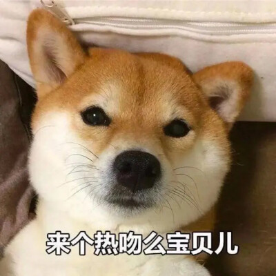 狗子