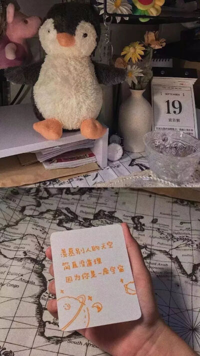 分享