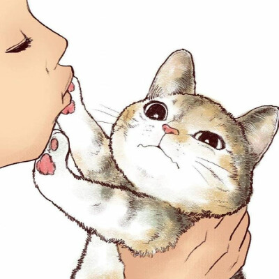  no kiss miao~