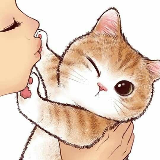 no kiss miao~