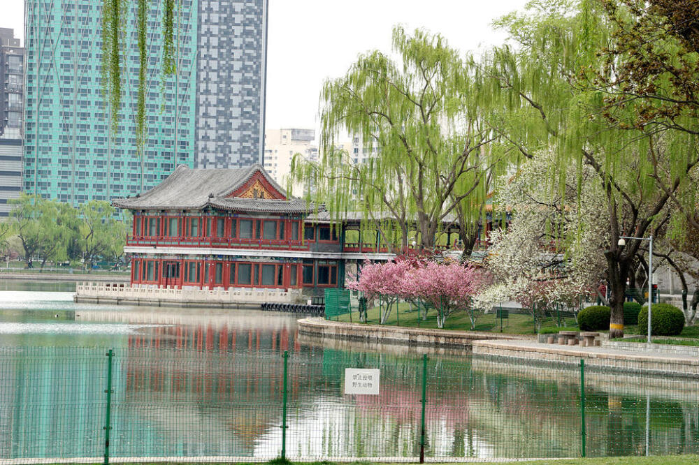 龙潭湖春景