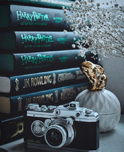 斯莱特林·背景图