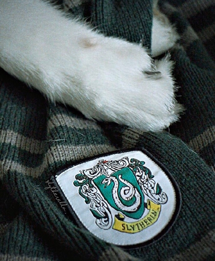 斯莱特林·背景图