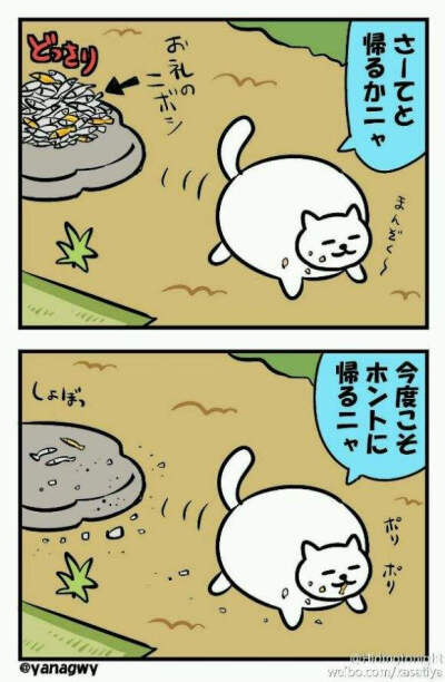 这个图片是满足桑，但是我千查万查没有查到图片中日语的意思，不知道哪个懂日语的大神能不能帮忙翻译一下？
我看起来大概意思是满足桑吃饭吃不够，把别的猫送来的小鱼干全部都吃光光了(ಡωಡ)hiahiahia~
感谢Sylvia…