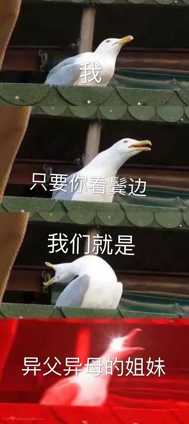 鬢邊不是海棠紅