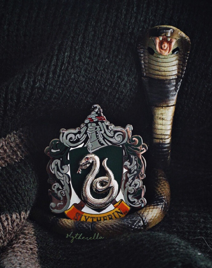 斯莱特林·背景图