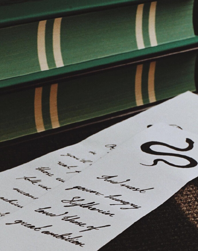 斯莱特林·背景图