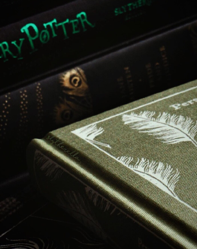 斯莱特林·背景图