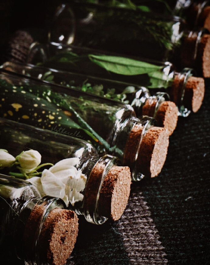 斯莱特林·背景图