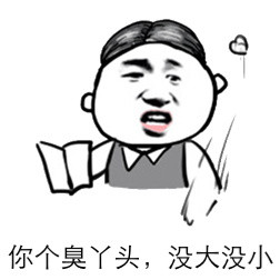 你个臭丫头没大没小
