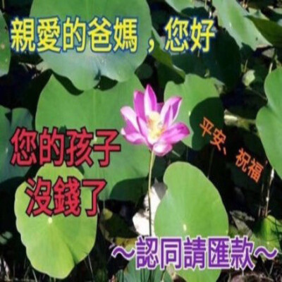 亲爱的爸妈，您的孩子没钱了 请汇款