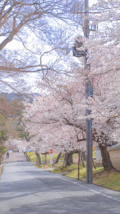 春日限定