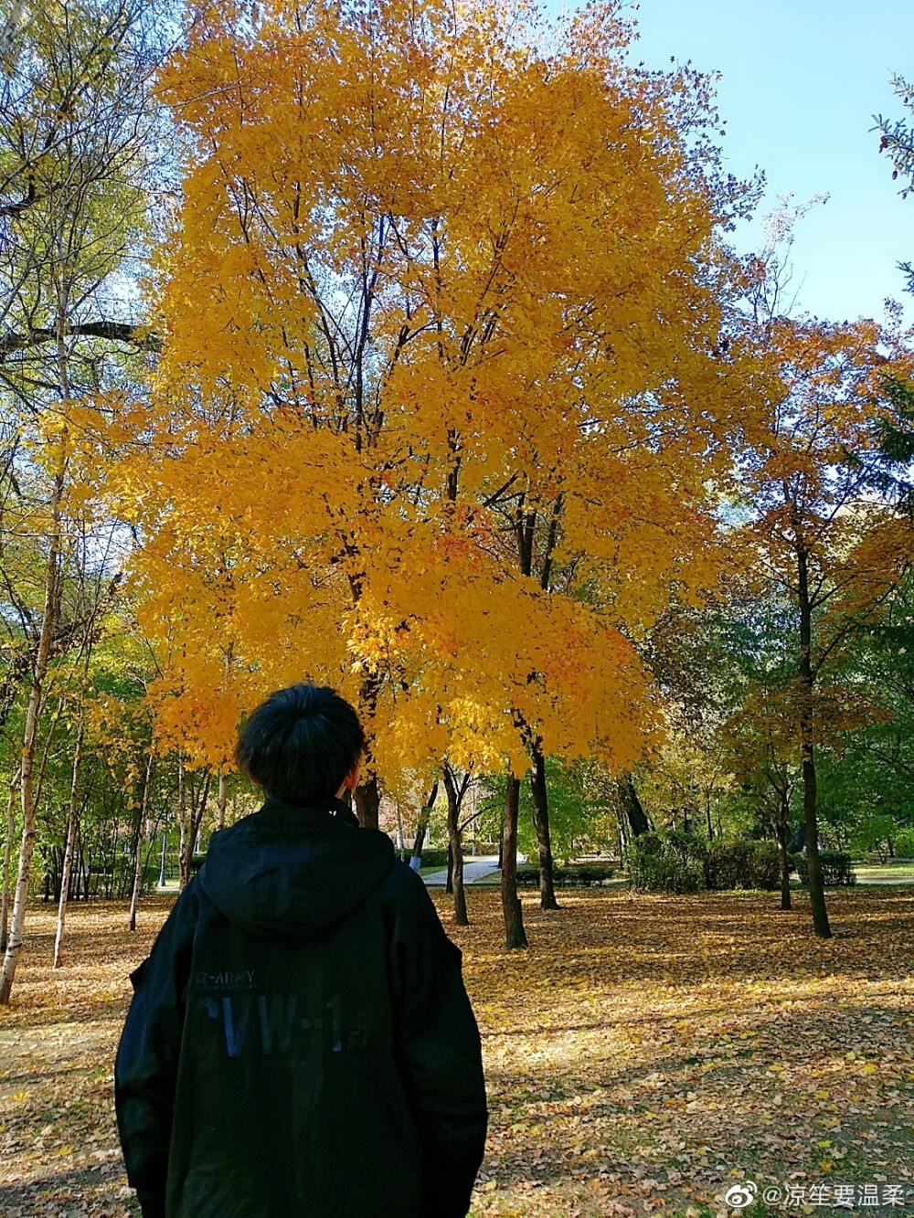 孙九芳 郭霄汉 图源水印 若侵可删