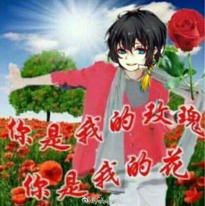 洛少爷土味表情包