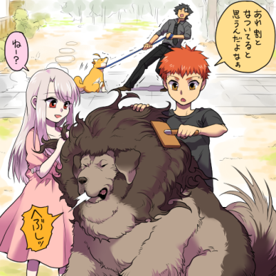 英灵动物化 型月 fgo saber lancer archer 远坂凛 卫宫切嗣。卫宫士郎 肯主任 伊莉雅 闪闪 #侵删