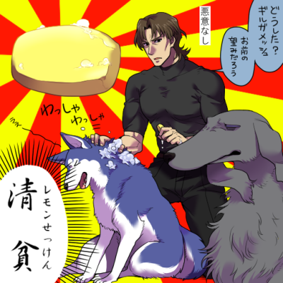 英灵动物化 型月 fgo saber lancer archer 远坂凛 卫宫切嗣。 #侵删