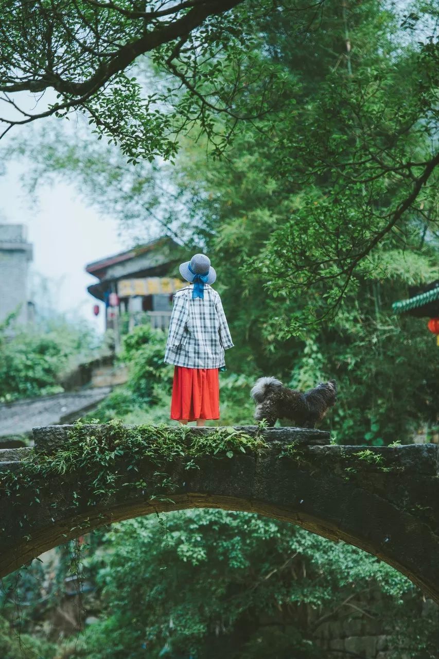 风景『文艺复古』
山水『自然景观』