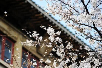 风景『文艺复古』
山水『自然景观』