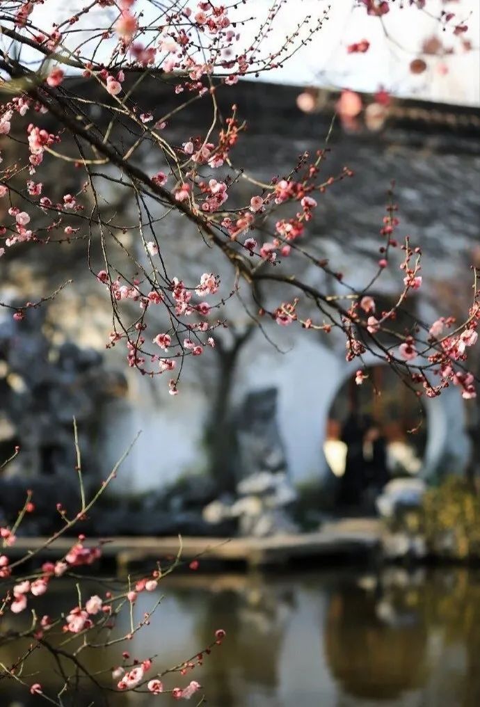 风景『文艺复古』『自然景观』