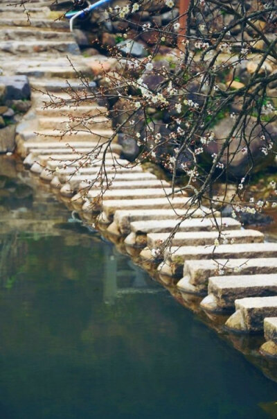 【原创】《雨时》
四月春雨，
细细淋过草香，
迎春花探出了脑袋。
六月夏雨，
听荷叶雨珠滚落，
不小心砸到了锦鱼背上。
八月秋雨，
看风中黄叶飞舞，
起起落落纠缠林中倦鸟。
十二月冬雨，
我坐在冰凌花开满的窗…