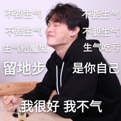win宝之表情包