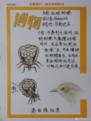 昆虫