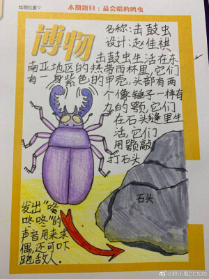 老虎    豹子  昆虫  机械鱼 鸟