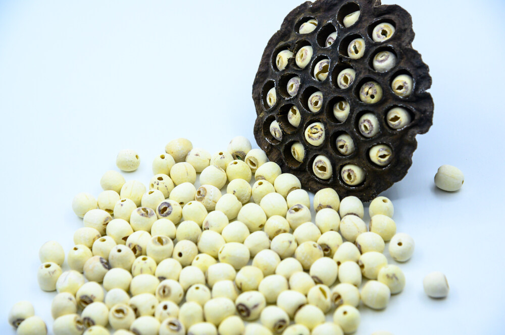 莲子 植物 种子 莲蓬 果实 干果 食材 食用 膳食 滋补 营养 健康 有机