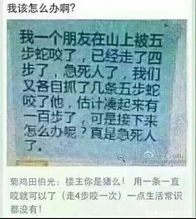 今日份的沙雕记录哈哈哈哈（网图）