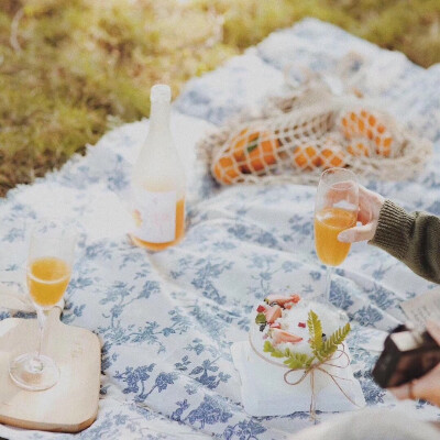 野餐 春天 草地 调色