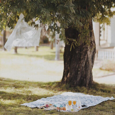 野餐 春天 草地 调色