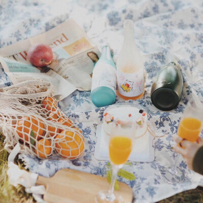 野餐 春天 草地 调色