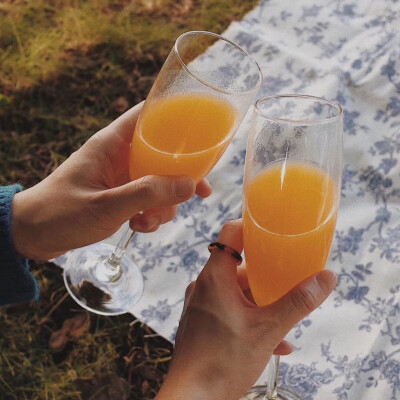 野餐 春天 草地 调色