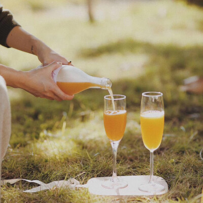 野餐 春天 草地 调色