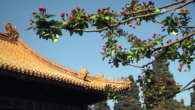 原来年少情深
也可以走到相看两厌