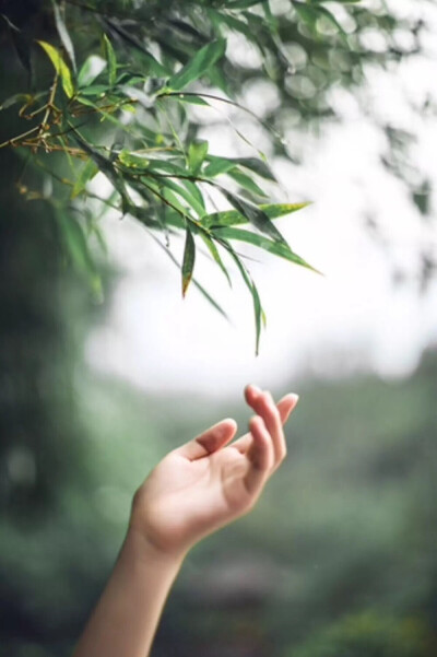 【原创】《谷雨•感怀》
谷雨，春夏分
这个春格外漫长，总是站在窗前眺望
想那远方，青松翠柏、山花烂漫、绿野苍莽
还有那小桥、流水、人家
总是在内心企盼，疫霾消散
春日里，灿烂的笑脸
这个春日，又格外短暂
打开…