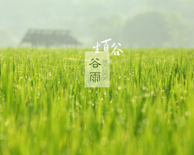 【原创】《谷雨•感怀》
谷雨，春夏分
这个春格外漫长，总是站在窗前眺望
想那远方，青松翠柏、山花烂漫、绿野苍莽
还有那小桥、流水、人家
总是在内心企盼，疫霾消散
春日里，灿烂的笑脸
这个春日，又格外短暂
打开…