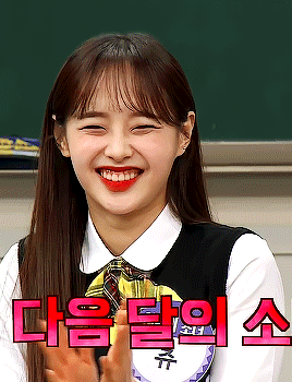 本月少女金智雨