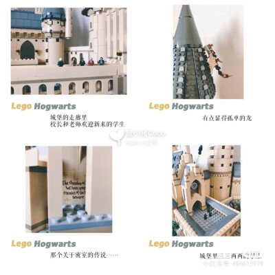 乐高LEGO＆哈利波特——霍格沃兹
图源小红书
