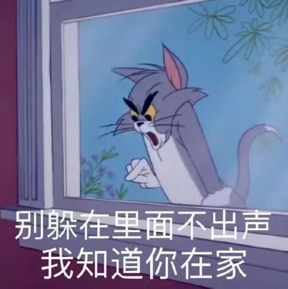 表情包