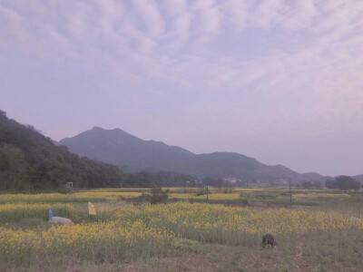 我总是期待夏天，但无关炎热、无关蝉鸣，而是香甜的西瓜气息和夏天温柔的晚风，让我沉浸在已发生的回忆或未发生的故事里，觉得世界真让人值得热爱。
