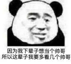 表情包/杂