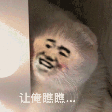 让俺瞧瞧变脸猫