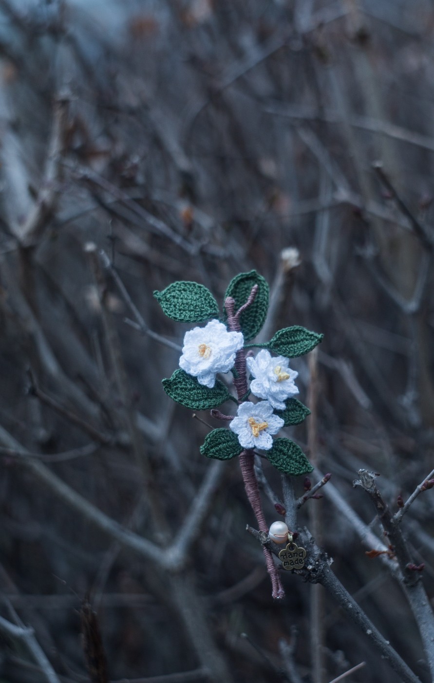 微钩栀子花