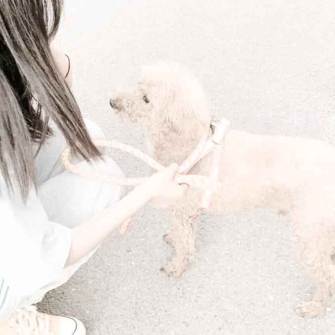 陈思恬 拿图点赞喜欢关注