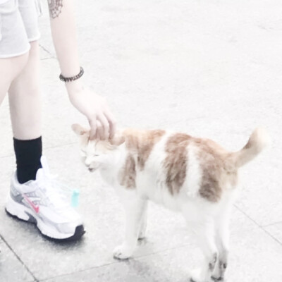 陈思恬 拿图点赞喜欢关注